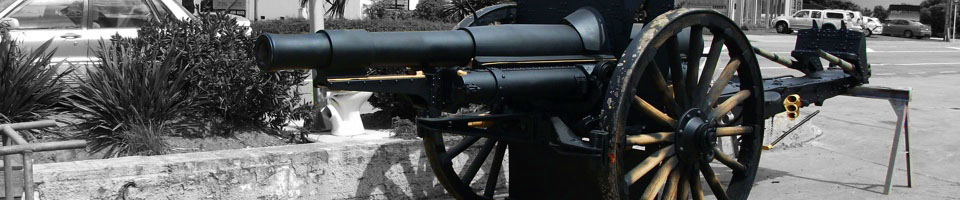 Cannon